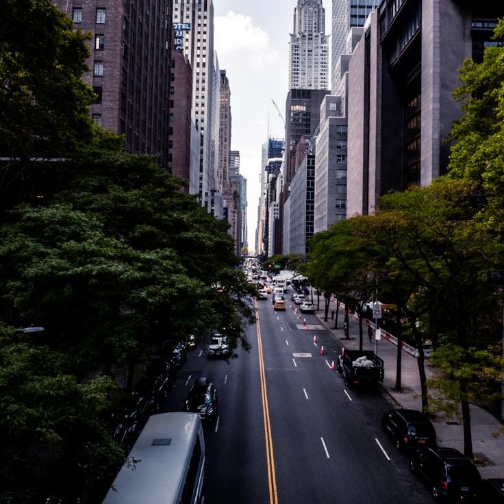 Family routine and school logistics in Lisbon