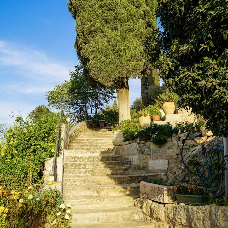 Family terraces and cafés for calm evenings in Lisbon